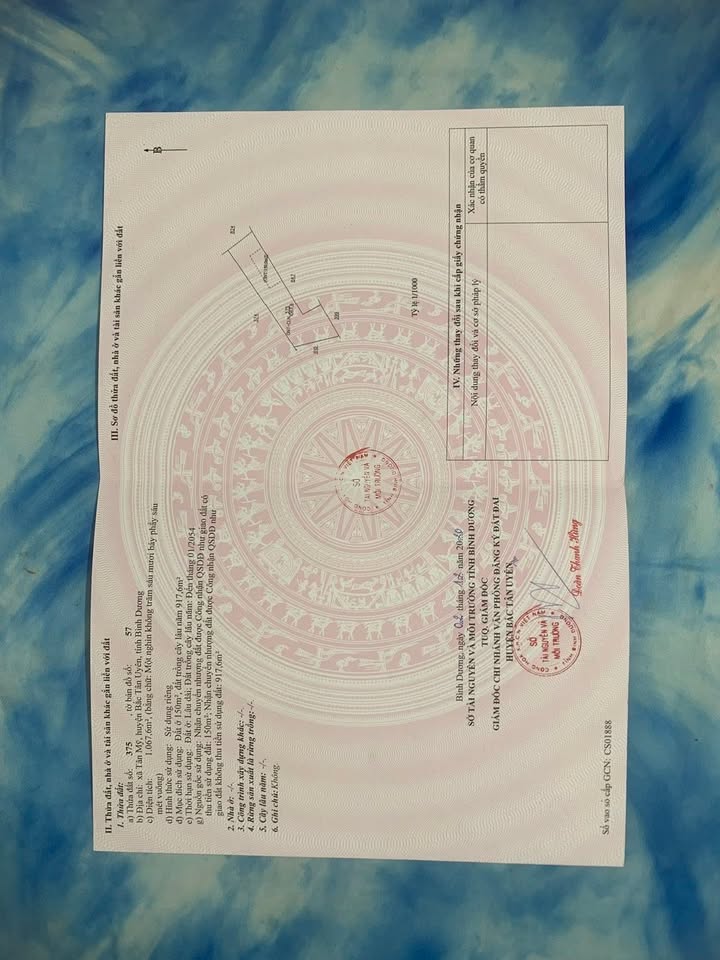 Đất nền Tân Mỹ cũ, Bắc Tân Uyên 1000m² chỉ 4 tỷ - Cơ hội đầu tư không thể bỏ lỡ!