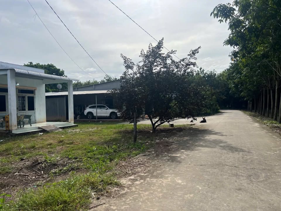 Đất nền Huyện Dầu Tiếng 1000m² giá 690 triệu - Vị trí tiềm năng chờ bạn đầu tư!