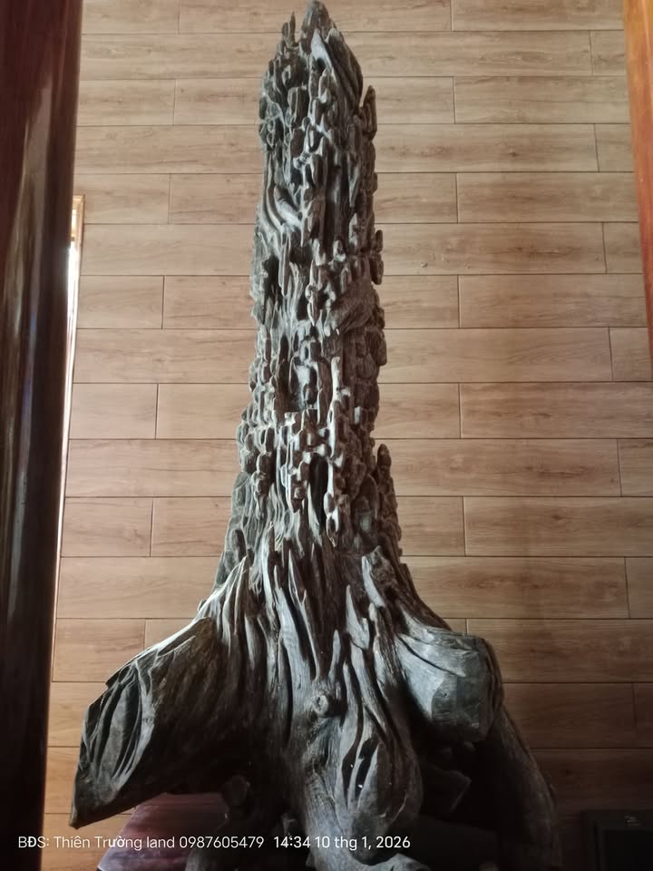 Đất nền Bàu Bàng 1400m² giá 67 tỷ - Mặt tiền QL13 thuận lợi kinh doanh