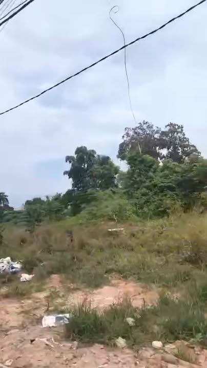 Đất nền Phường Phú Mỹ, Thủ Dầu Một 2900m² - Sổ hồng chính chủ, giá chỉ 1.2 triệu/m²!