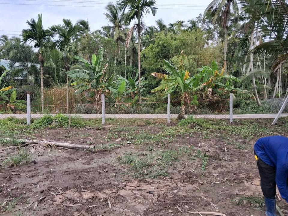 Đất nền nở hậu 1026m² tại ấp An Lạc, An Giang - View sông thoáng mát, giá chỉ 850 triệu!