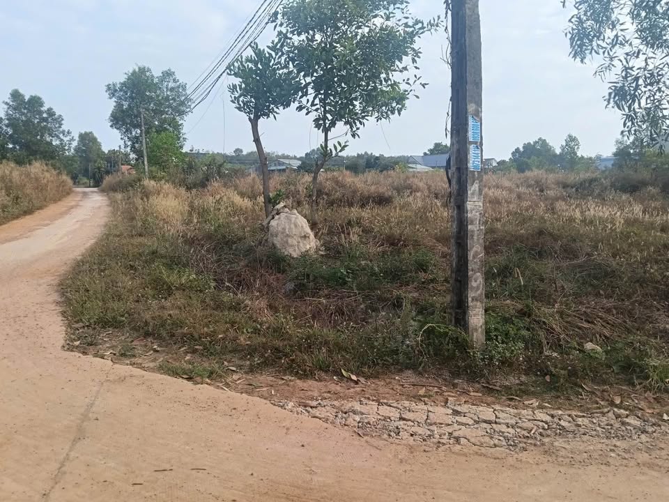 Đất nền Tân Phước, Gò Công Đông 350m² giá 7.5 tỷ - Đầu tư sinh lời!