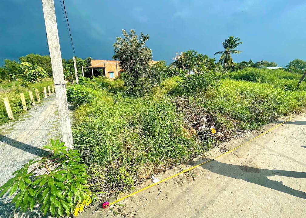 Đất thổ cư tại mặt tiền đường Nguyễn Thị Điểm, Long An 267m² - Giá chỉ 1.768 tỷ!