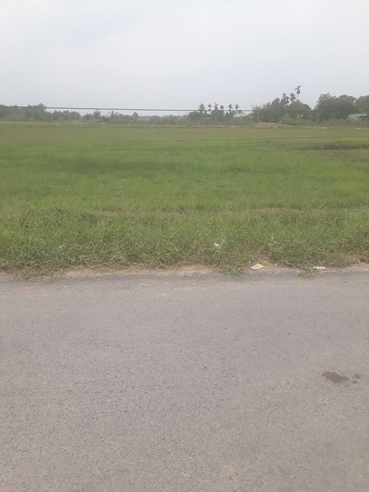 Đất Mặt Tiền Kinh Doanh Tại Xã Tân Mỹ, Long An 416m² Giá 1 Triệu - Cơ Hội Đầu Tư Sinh Lời