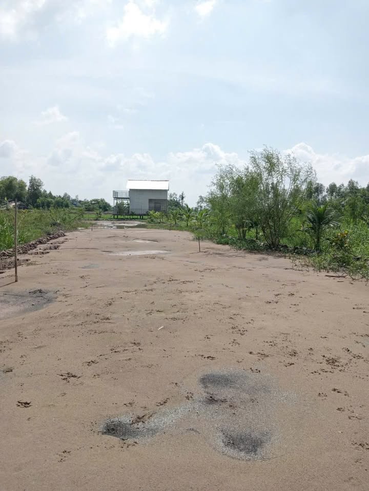 Đất nền 175m² tại ấp 5, Xã Phong Mỹ, Giá 280 triệu - Cơ hội đầu tư hấp dẫn!