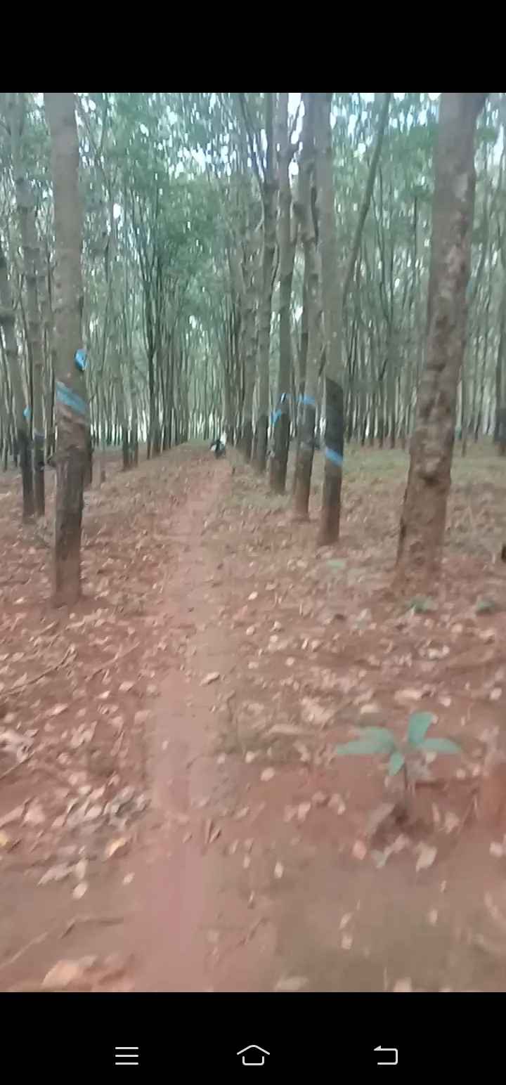 Đất Nông Nghiệp 14000m² tại Tân Hưng, Đồng Phú - Giá Thỏa Thuận, Đường Rộng 5m