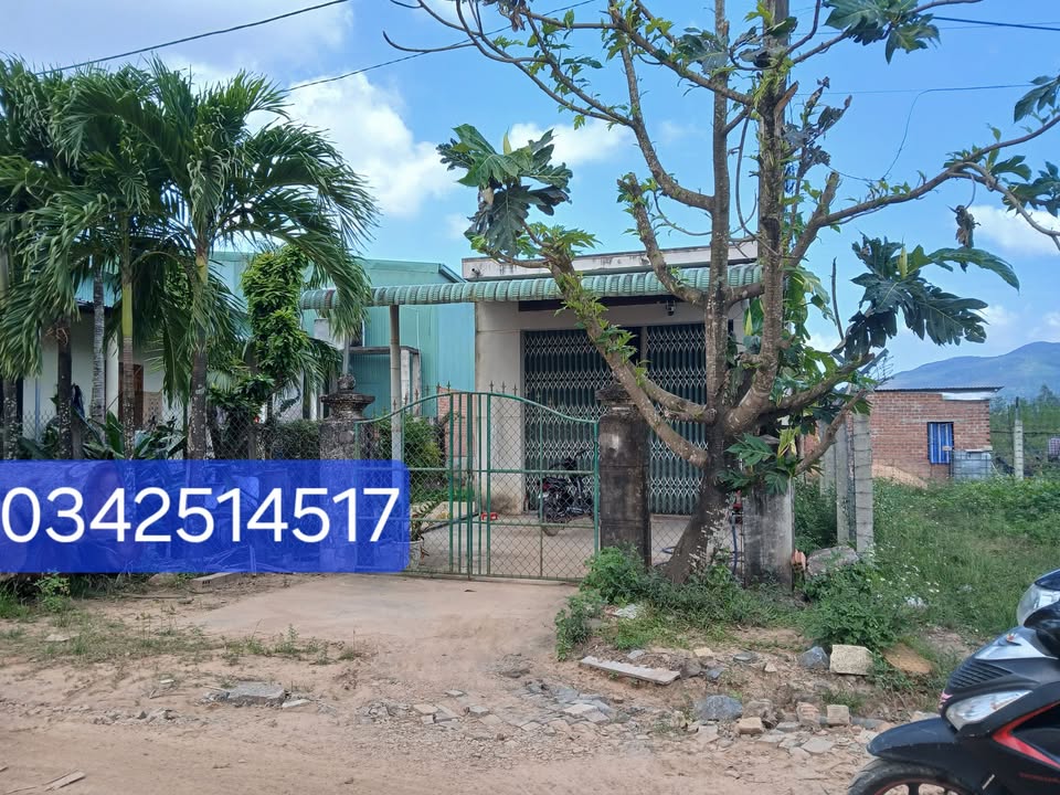 Nhà Phước Thành 300m² giá 8 tỷ - Cần bán gấp, pháp lý rõ ràng!