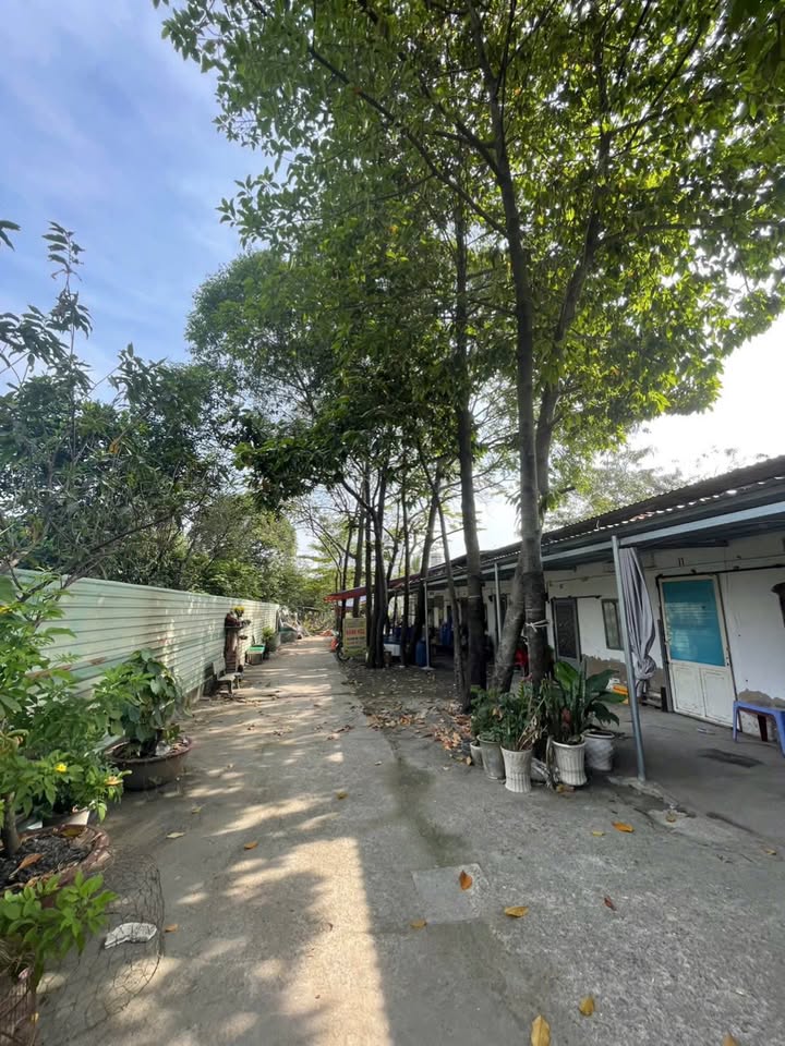 Dãy nhà trọ 17 phòng tại Thạnh Lộc 40, Quận 12 - Đầu tư sinh lời ngay lập tức!