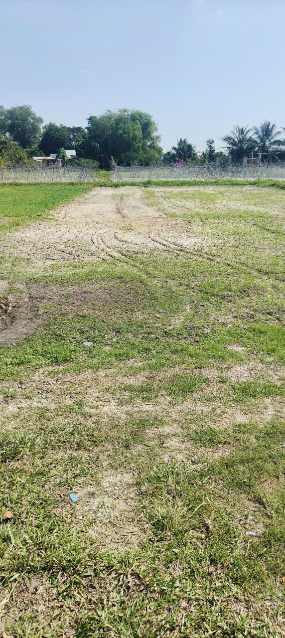 Đất thổ cư Xã Mỹ Hạnh Bắc, Huyện Đức Hòa 400m² giá 1.5 tỷ - Sổ hồng riêng chính chủ!