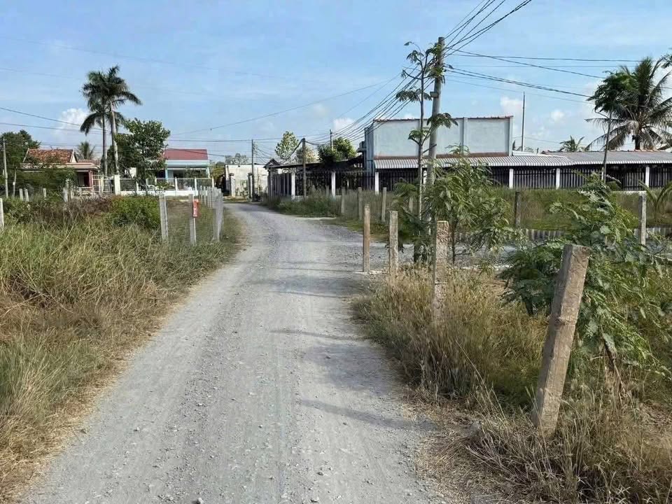 Đất thổ cư 553m² và 481m² đất lúa - Huyện Cần Đước, Long An - Giá chỉ 3.25 tỷ