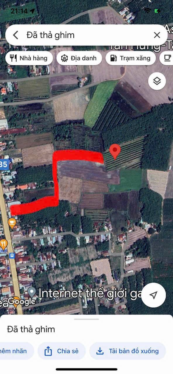 Đất nền 1.3ha tại Tân Xuân, Tân Phú Tây Ninh giá 1x tỷ - Cơ hội đầu tư hấp dẫn!