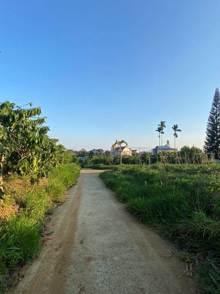 Đất nền Liên Xã Lộc An - Lộc Đức 3000m² giá 5 tỷ - Mặt tiền hai đường lớn!