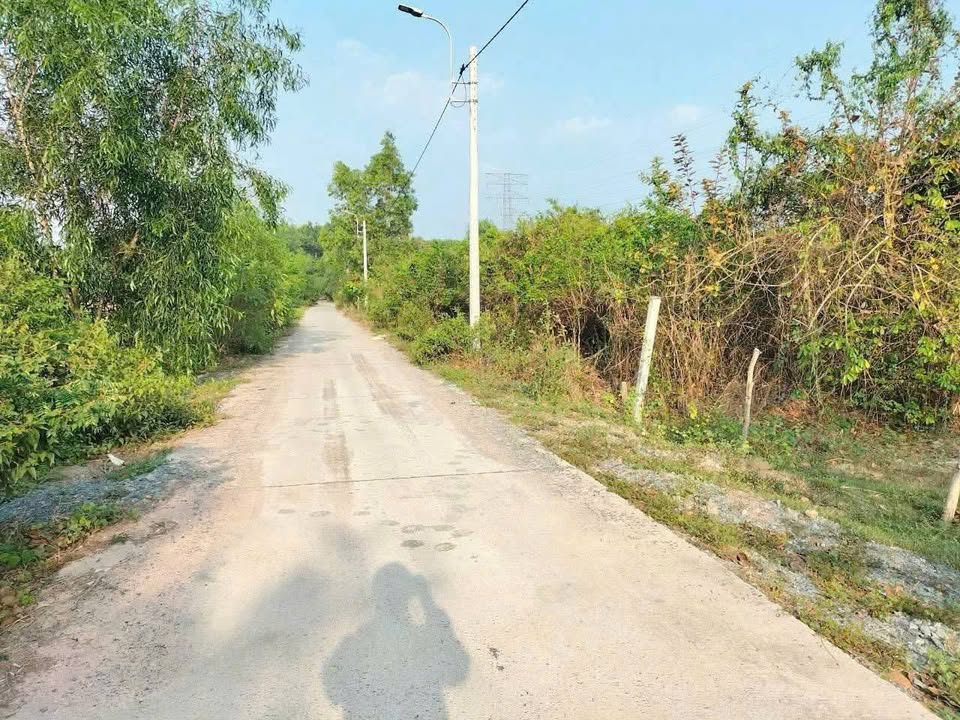 Đất nền Nhuận Đức Củ Chi 10.338m² giá 28 tỷ - Cơ hội đầu tư hấp dẫn!