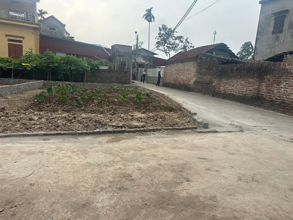 Bán đất lô góc Đông Cốc, Thuận Thành, Bắc Ninh 55,3m² - Giá chỉ 1,65 tỷ!