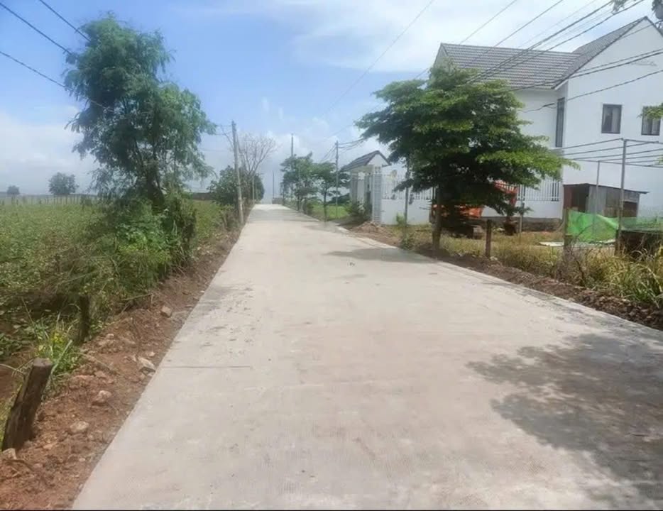 Đất thổ cư 165m² tại Đà Lạt - Giá chỉ 1xx triệu, cơ hội đầu tư tuyệt vời!