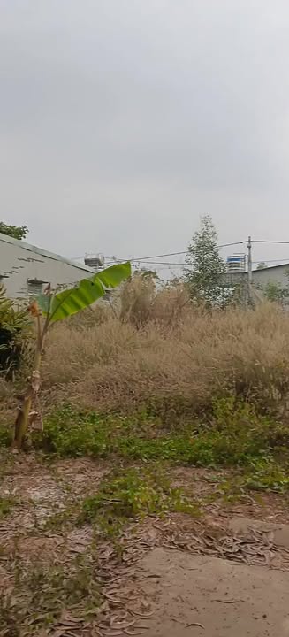 Đất nền khu i mp3 Bến Cát 135m² giá chỉ 1.45 tỷ - Đầu tư sinh lời ngay!