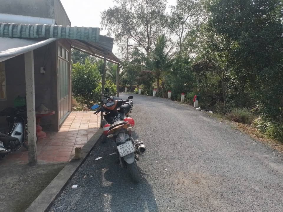 Nhà Phú Hựu Châu Thành Đồng Tháp 303m² - Thổ cư 100%, Mặt tiền 22m