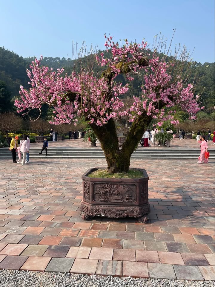 Đất nền Khu - Gia Thịnh, Huyện Gia Viễn 108m² - Tiềm năng đầu tư cao!