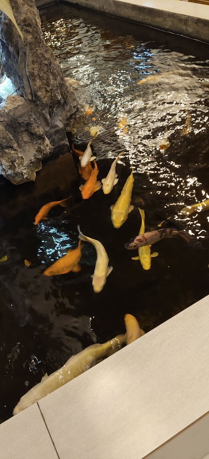 Mặt tiền đường Minh Khai, Huyện Ea Kar 202m² giá 1 tỷ - Đầu tư sinh lời ngay!