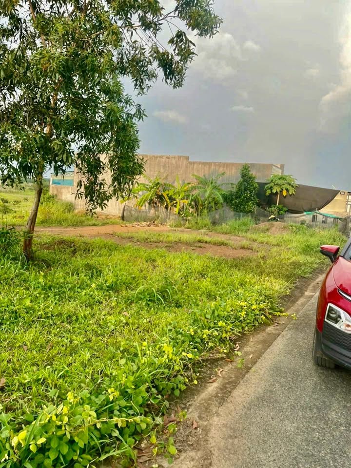 Đất thổ cư Tân Bình, Đồng Xoài 140m² giá 870 triệu - Sổ hồng chính chủ chỉ việc xây dựng!