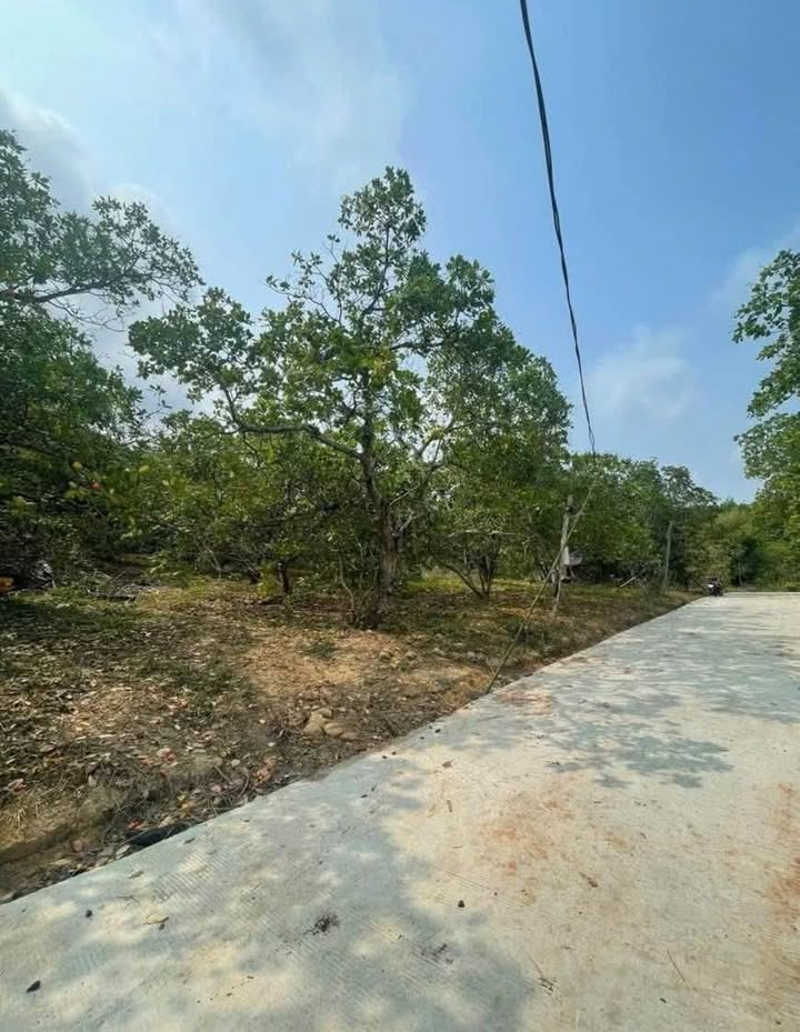 Đất nền Lộc Thiện 1ha mặt tiền bê tông 85m chỉ 1.75 tỷ - Đầu tư lý tưởng!