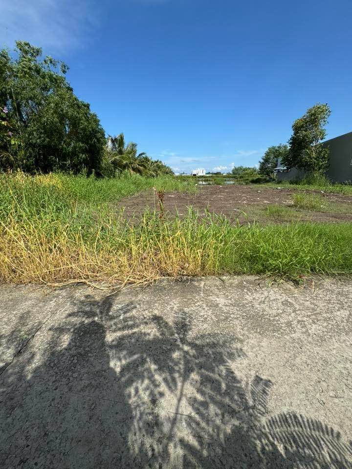 Đất vườn 1750m² tại Xã Lương Thế Trân, Cà Mau - Đầu tư lý tưởng!