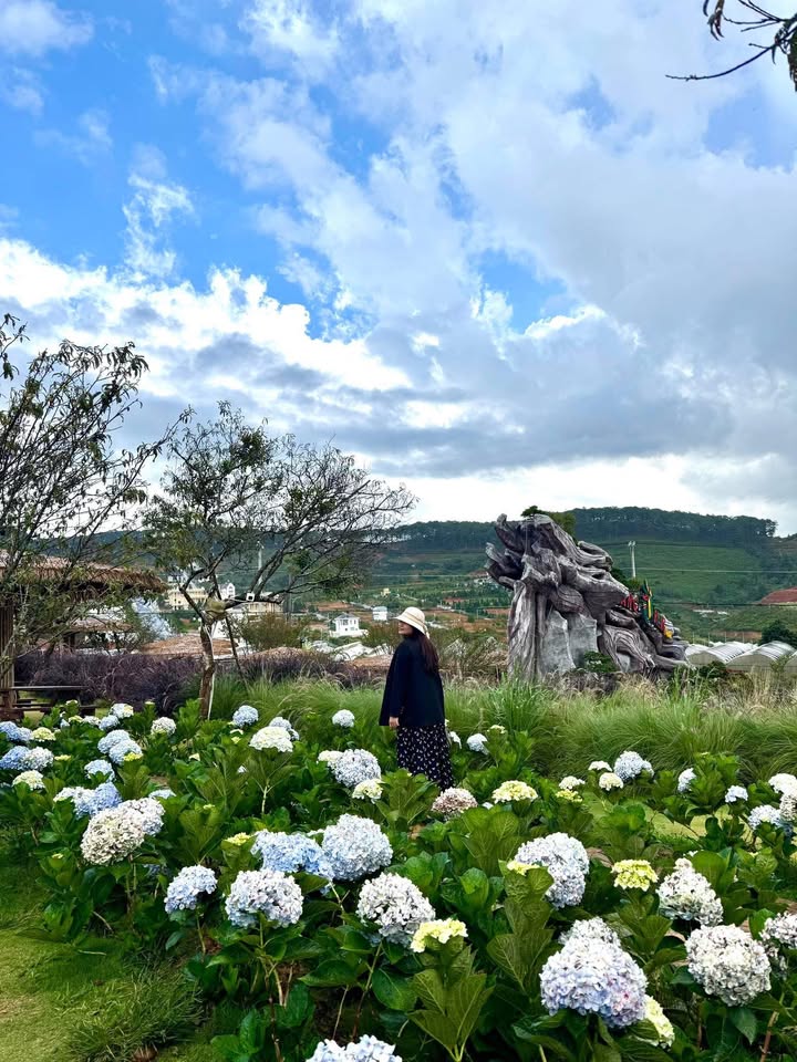 Đất Thạch Hạ 100m² giá thương lượng - Cơ hội đầu tư hấp dẫn!