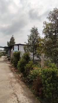 Đất nền liền kề tại xã Mỹ Hòa, Đồng Tháp 125m² giá 340 triệu - Cơ hội đầu tư hấp dẫn!