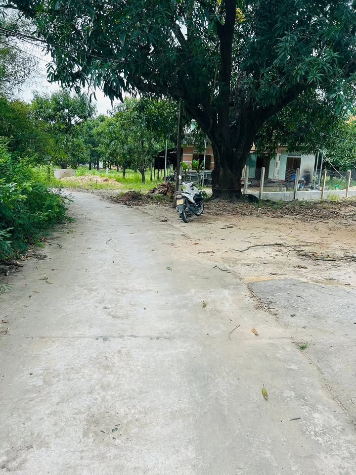 Đất thổ cư Cam Lâm 480m² giá 2.x tỷ - Cơ hội đầu tư tuyệt vời!