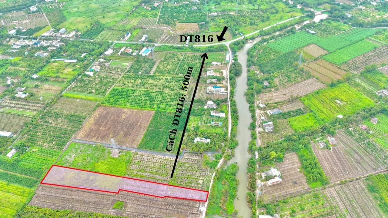 Đất vườn 4000m² mặt tiền đường Đan, Thạnh Hòa, Bến Lức - Giá 2,5 tỷ thương lượng!