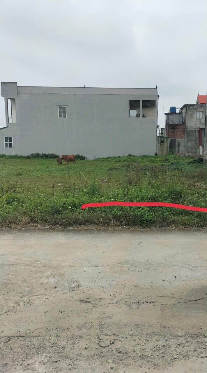 Đất Ninh Phúc 100m² giá 2 tỷ - Khu vực phát triển sôi động!