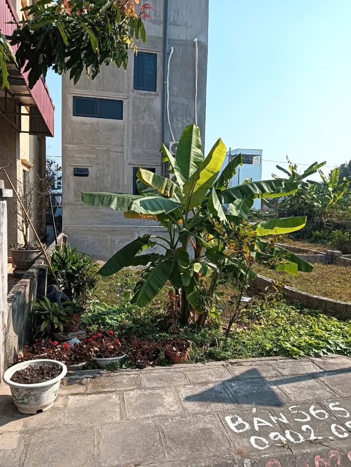 Lô đất Tân Thành, Dương Kinh 42m² giá chỉ 1.4x tỷ - Cơ hội đầu tư không thể bỏ lỡ!