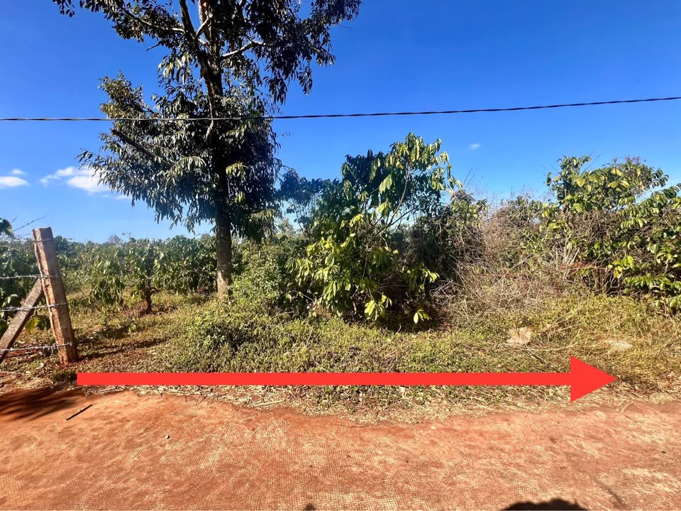 Đất ở làng Phung - Xã Biển Hồ - Gia Lai 160m² giá 290 triệu - Đầu tư sinh lời ngay!