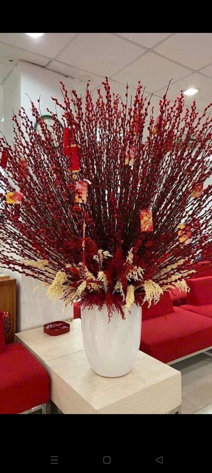 Đất mặt tiền Trần Kiên, Tân Hòa 100m² giá 2.55 tỷ - Kinh doanh lý tưởng!