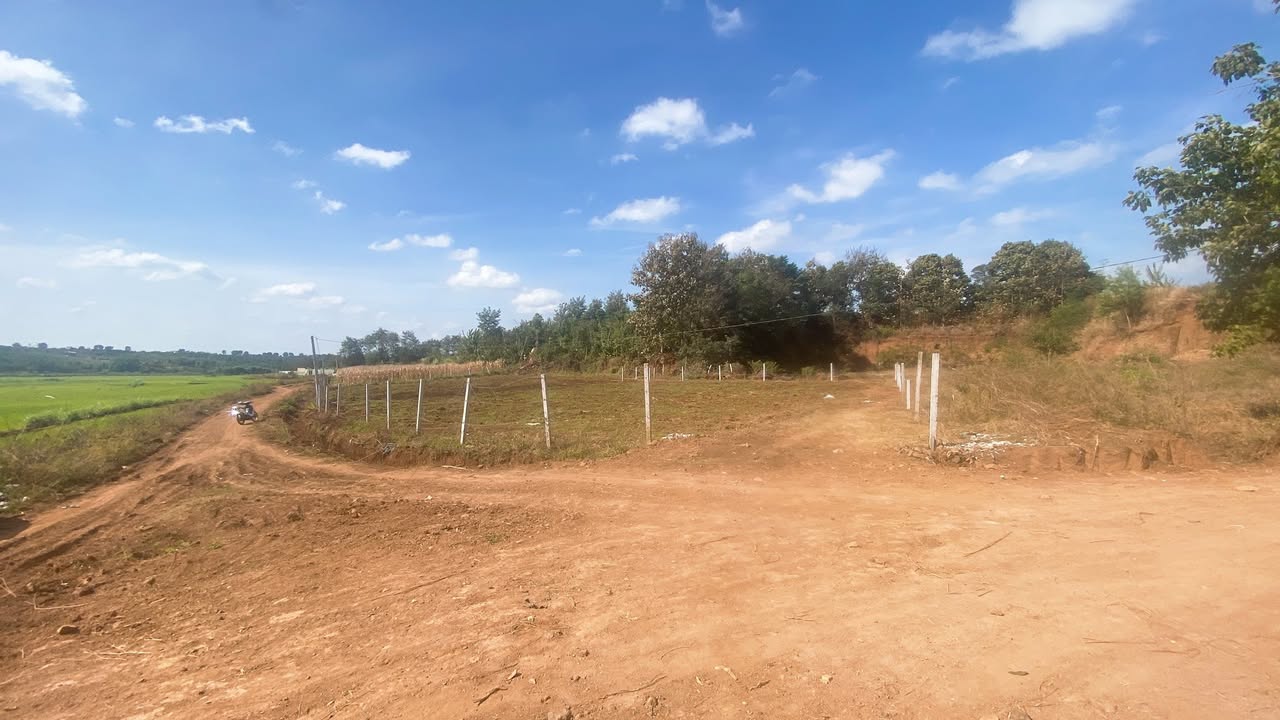 Đất nền Cư M'gar 1560m² giá 1.1 tỷ - Tiềm năng phát triển vượt trội!