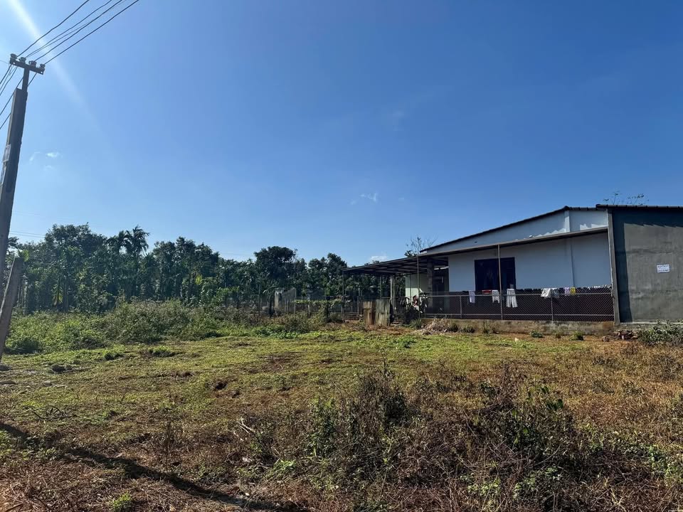 Đất nền Cư Đăng 135m² giá 495 triệu - Đầu tư sinh lời ngay!