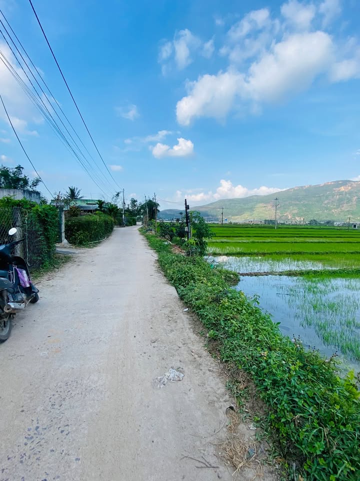 Nhà riêng Cảnh An 2, Phước Thành, Tuy Phước 122m² giá 7xx triệu - Không thể bỏ lỡ!