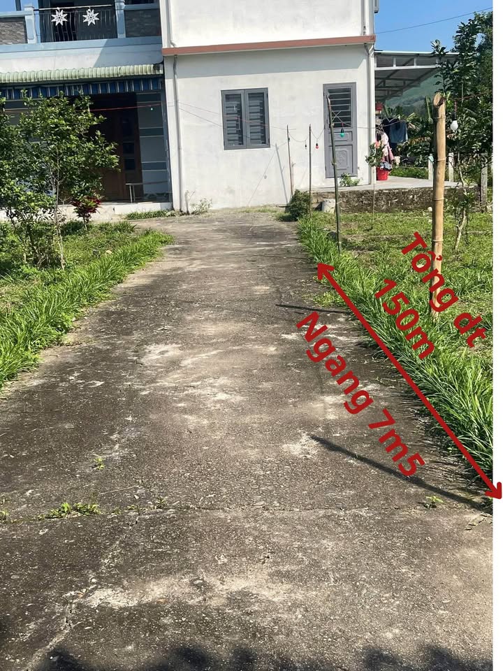 Đất ở đô thị Phường Hòa Khánh 150m² giá 1.35 tỷ - Đường rộng ô tô vào tận nơi!