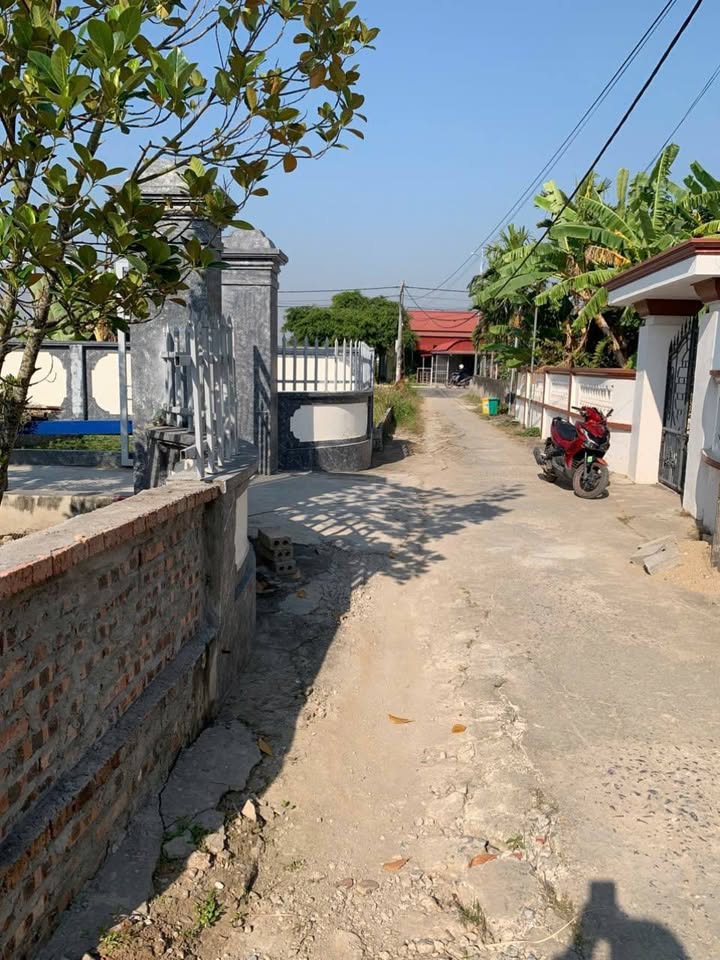 Đất nền Lão Phong - Tân Phong 87,8m² giá 1,5 tỷ - Đầu tư sinh lời lâu dài!