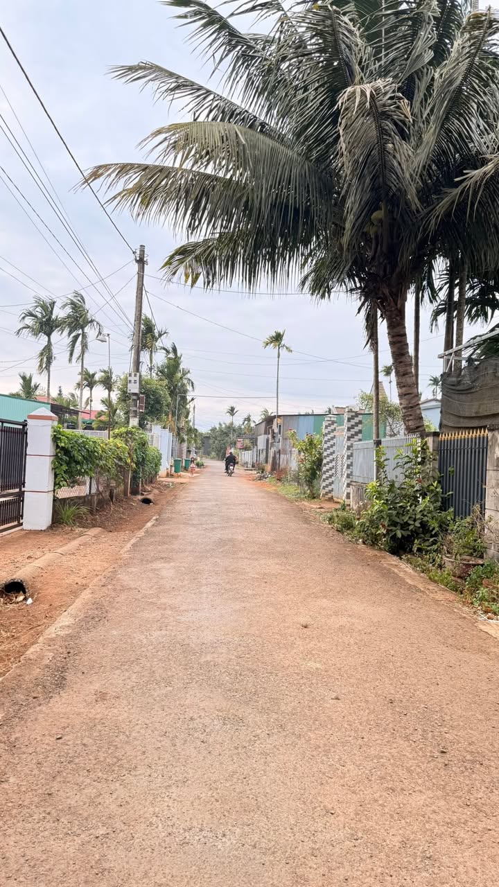 Đất thổ cư Hẻm 232 Nguyễn Thái Bình, 175m² chỉ 1.55 tỷ - Cơ hội đầu tư tuyệt vời!