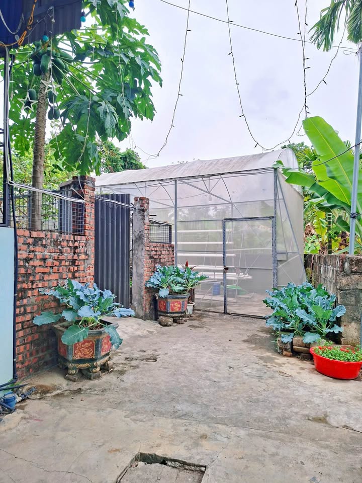 Đất thổ cư Kênh Giang, Thủy Nguyên, Hải Phòng 61.5m² - Pháp lý rõ ràng chính chủ!