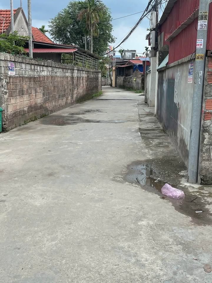 Đất hai mặt ngõ Hoàng Động, 60m² chỉ 1 tỷ - Cơ hội đầu tư không thể bỏ qua!