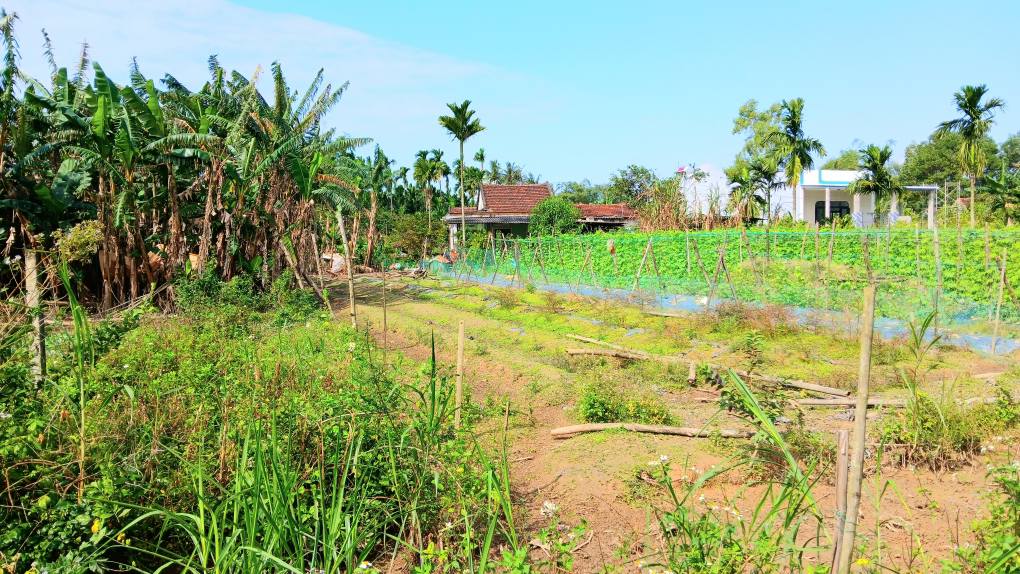 Đất vườn Nghĩa Hà, An Phú, Quảng Ngãi 100m² giá 850 triệu - Phù hợp làm nhà nghỉ dưỡng!