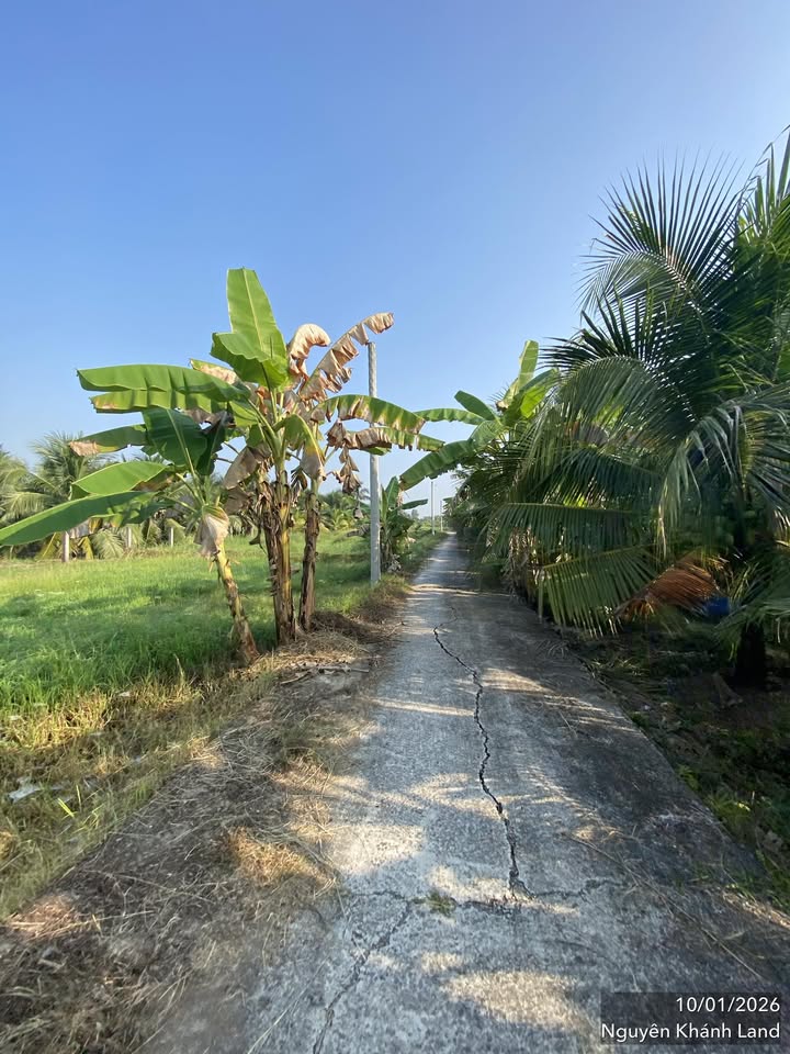 Đất nền Phường Phú Tân Bến Tre 1000m² giá 1 tỷ - Cơ hội đầu tư hấp dẫn!