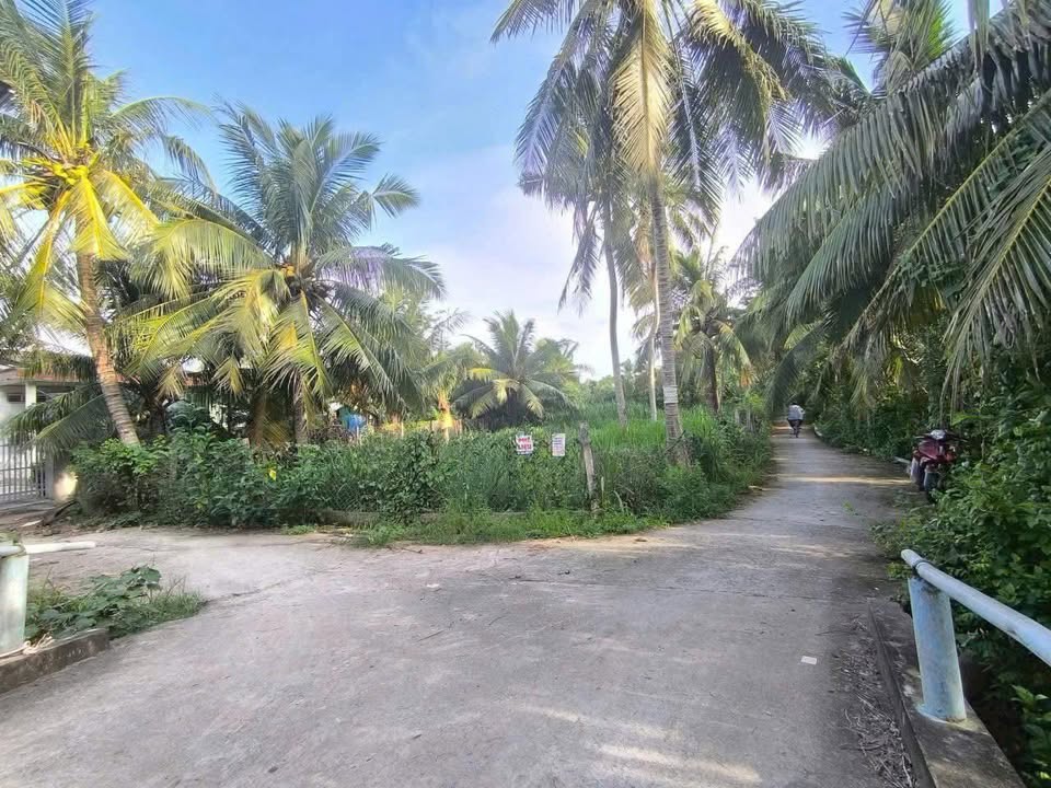 Đất nền Tân Thanh Giồng Trôm Bến Tre 996m² giá 700 triệu - Đầu tư thuận lợi!