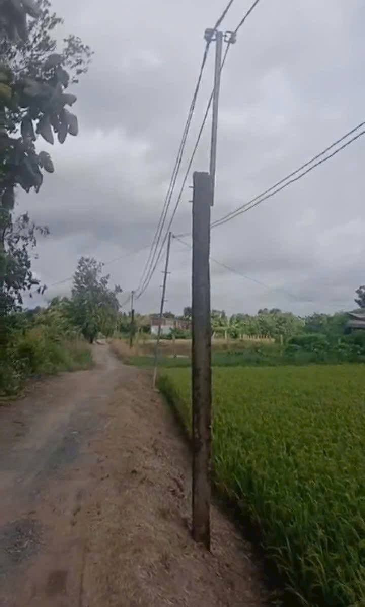 Đất vườn 6060m² tại Lấp Vò, Đồng Tháp - Sổ hồng chính chủ, giá 2.1 tỷ