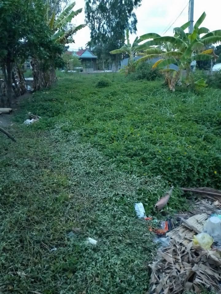 Đất nền mặt tiền Tinh Lộ 940, 480m² giá thỏa thuận - Cơ hội đầu tư hấp dẫn!