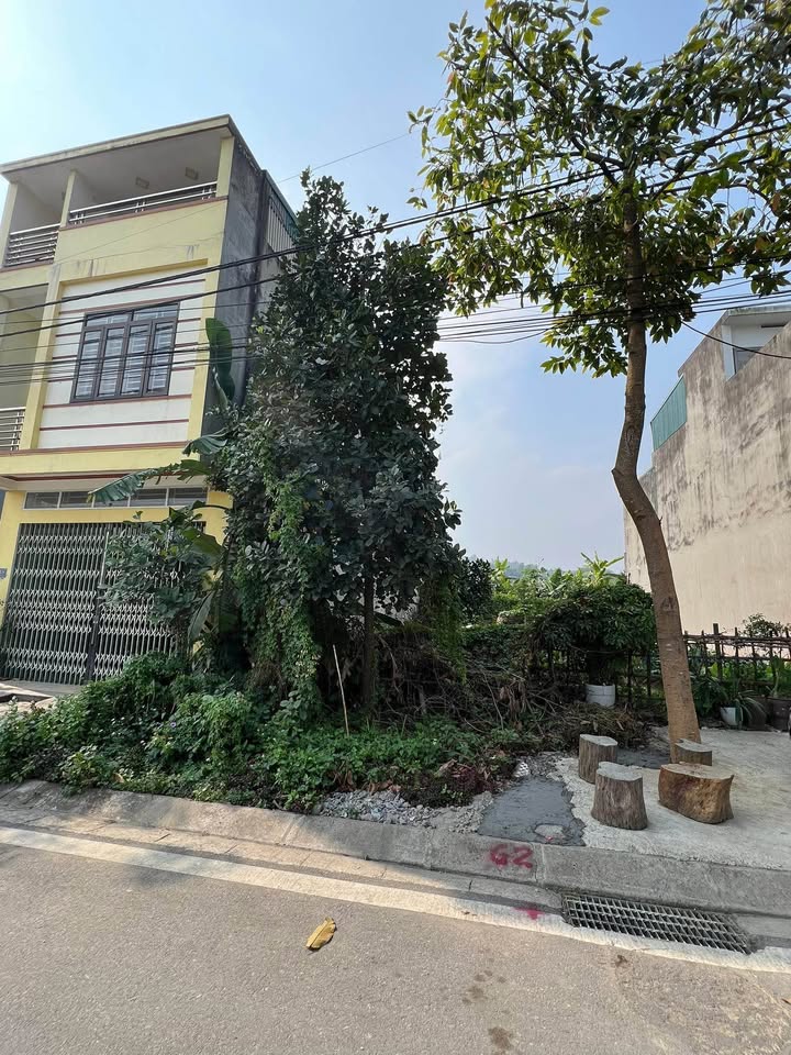 Đất nền Xuân Tăng Lào Cai 100m² giá nhỉnh 1 tỷ - Sổ đỏ chính chủ!