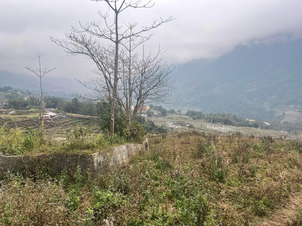 Đất nền 700m² xã Tả Van - Giá chỉ 1,35 tỷ - View đẹp, ô tô vào tận nơi!