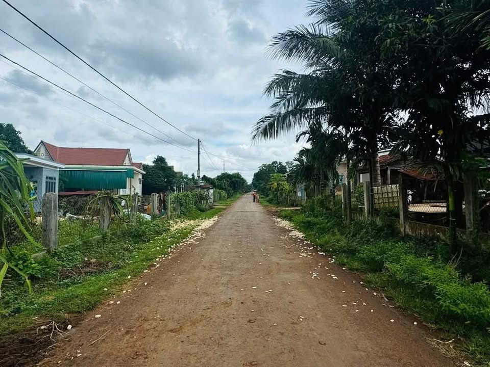 Đất thổ cư 222m² tại Quảng Phú, Cư M'gar - Giá chỉ 600 triệu!